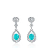 Turquoise Stone Earrings – Elegant Silver Design with Nature-Inspired Charm